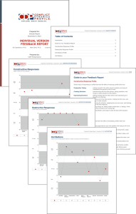 CDP-I Report